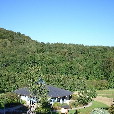 Aritee Apartments Sonnenschein Willingen  Buitenkant foto