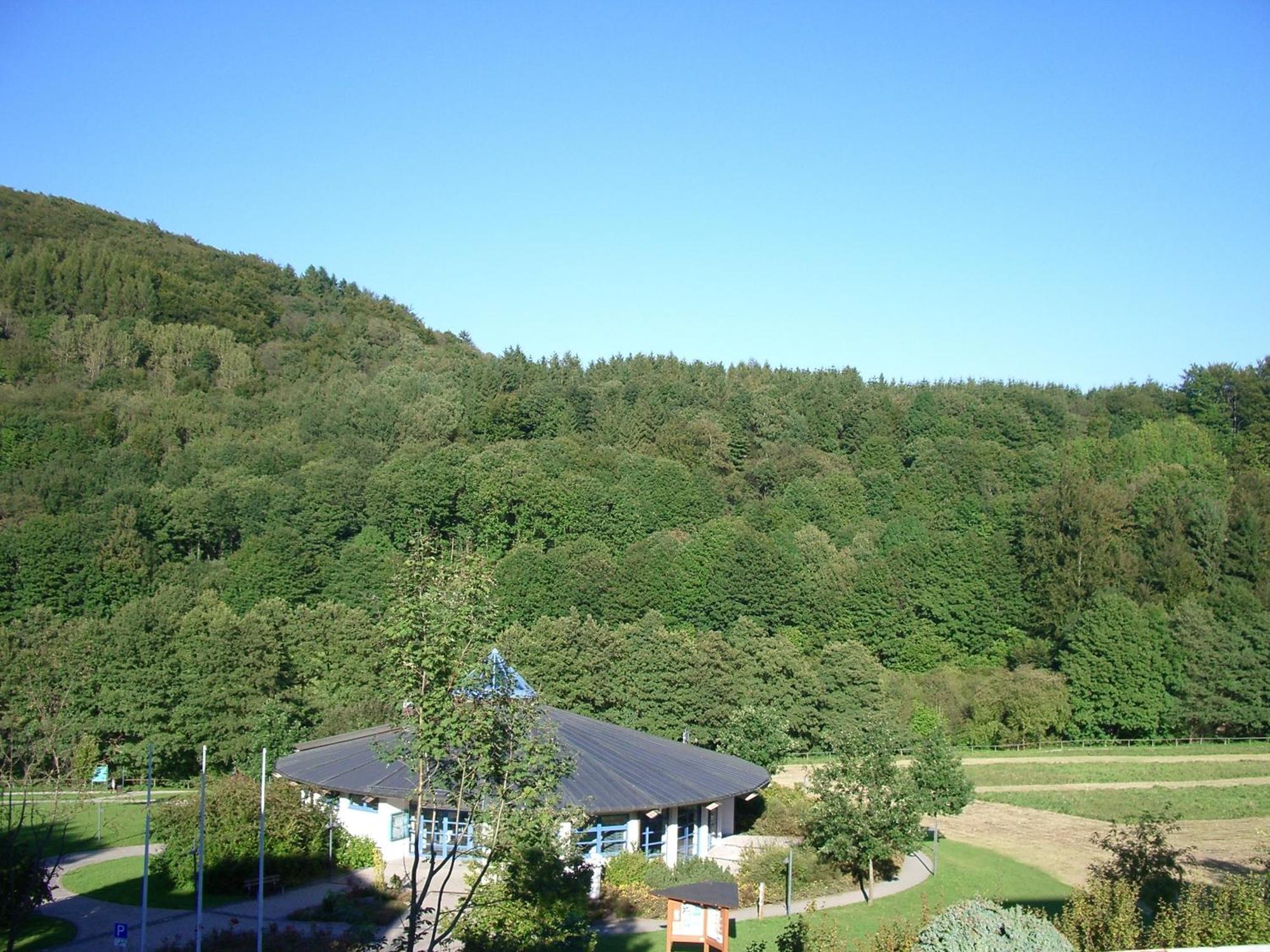 Aritee Apartments Sonnenschein Willingen  Buitenkant foto